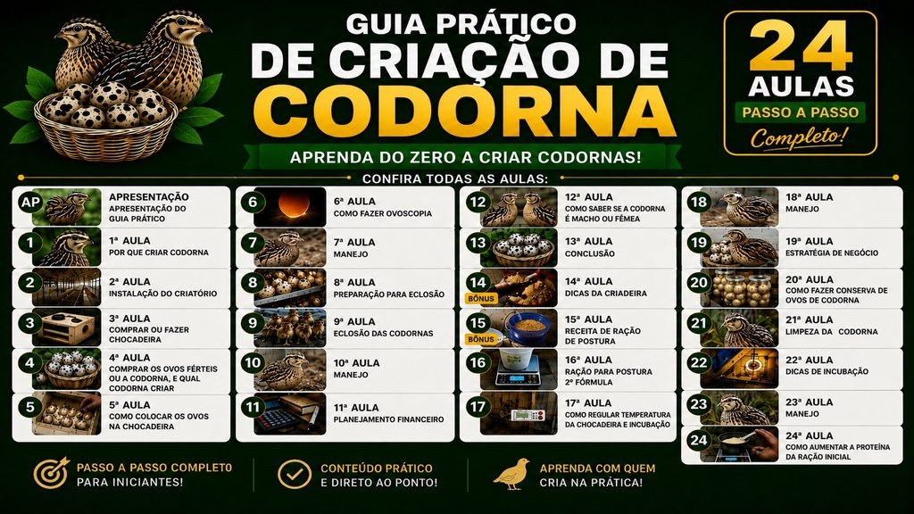 Esta imagem mostra as aulas que você terá acesso ao adquirir o guia prático. Para quem nunca criou codorna na vida, ou para quem já cria a tempo, adquirindo este guia você aprenderá tudo o que precisa para ter sucesso na criação de codorna, o passo a passo de como cuidar das codornas recém nascidas, como chocar os ovos de codorna do jeito certo, qual temperatura ideal, aprenderá como fazer ração de postura para codorna e as demais: 1º Aula: Por que Criar Codorna;
2º Aula: Instalação do Criatório;
3º Aula: Comprar ou Fazer Chocadeira;
4º Aula: Comprar os Ovos Férteis ou a Codorna, e qual codorna criar;
5º Aula: Como Colocar os Ovos na Chocadeira;
6º Aula: Como Fazer Ovoscopia;
7º Aula: Manejo;
8º Aula: Preparação para Eclosão;
9º Aula: Eclosão das Codornas;
10º Aula: Manejo;
11º Aula: Planejamento Financeiro;
12º Aula: Como Saber Se a Codorna é Macho ou Fêmea;
13º Aula: Conclusão;
14º Aula: Dicas da Criadeira;
15º Aula: Receita de Ração de Postura;
16º Aula: Ração para Postura 2º Fórmula;
17º Aula: Como Regular Temperatura da Chocadeira e Incubação;
18º Aula: Manejo;
19º Aula: Estratégia de Negócio;
20º Aula: Como Fazer Conserva de Ovos de Codorna;
21º Aula: Limpeza da Codorna;
22º Aula: Dicas de Incubação;
23º Aula: Manejo;
24º Aula: Como Aumentar a Proteína da Ração Inicial. 
A vantagem é que este guia é praticamente um curso de criação de codorna, e o melhor de tudo é que é no formato de videoaulas ensinando na prática.