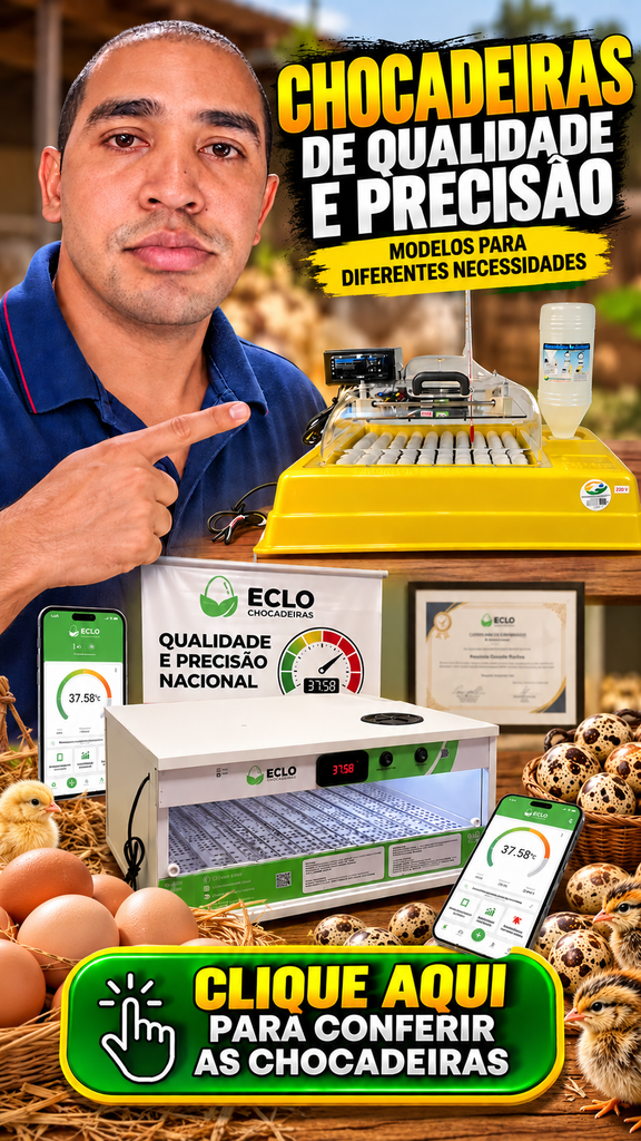 Para você que tem dúvida de qual chocadeira comprar para chocar ovos de codorna, galinha, demais aves eu deixei essas melhores chocadeiras para você escolher. 