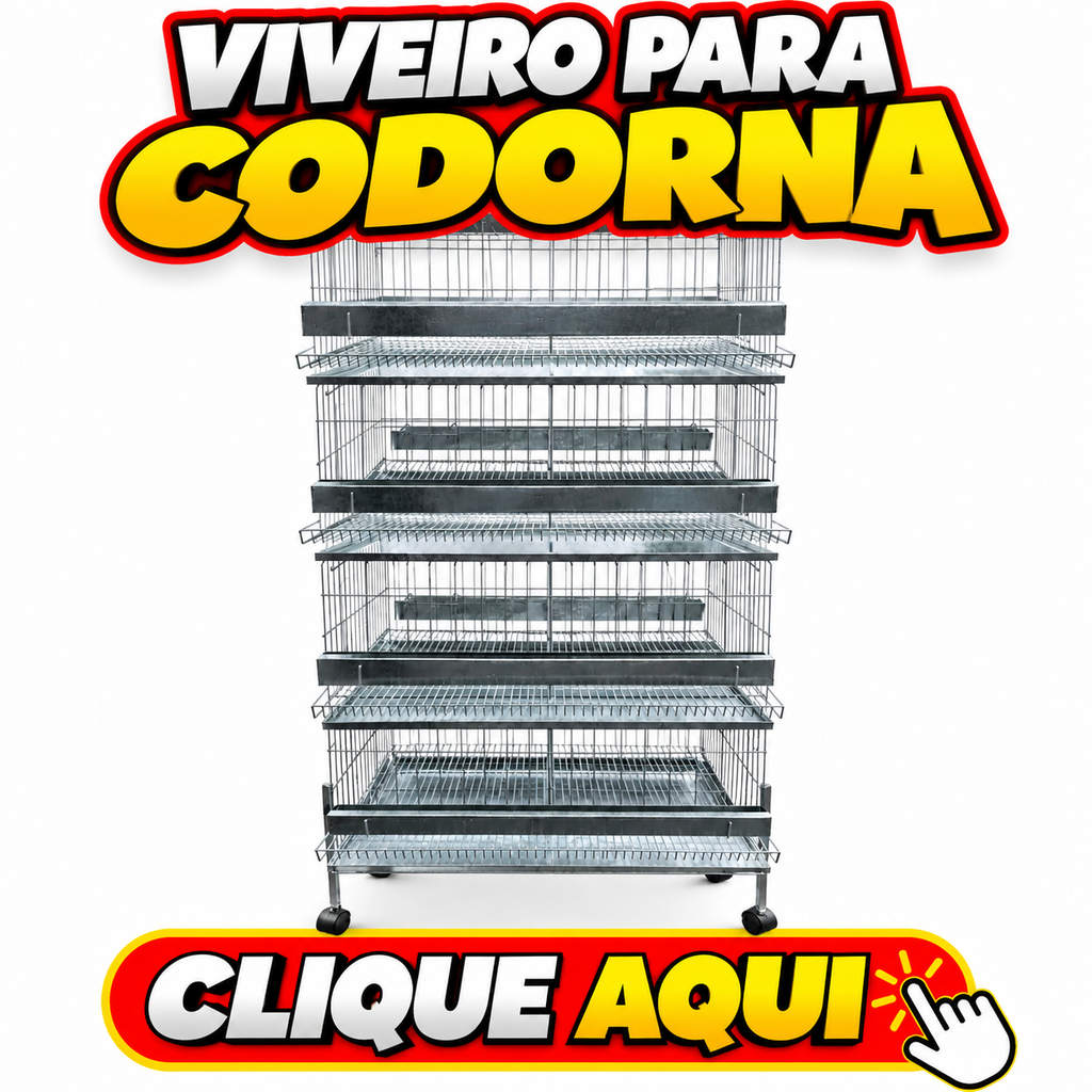 Viveiro para codorna em gaiolas metálicas de vários andares, ideal para criação de codorna gigante e codorna japonesa. Gaiola para codorna: veja como escolher o tamanho adequado, conheça modelos para criação e descubra onde comprar viveiro para codornas. **Viveiro para Codorna: Como Escolher a Melhor Gaiola para sua Criação**

Está procurando um viveiro para codorna ou uma gaiola para codorna gigante e codorna japonesa? Antes de comprar, é importante avaliar as dimensões, a quantidade de aves, o espaço disponível, a ventilação e a facilidade de limpeza.

Se você quer saber como fazer um viveiro para codorna, qual o tamanho ideal da gaiola para codorna gigante ou japonesa, ou qual é a melhor gaiola para criar codornas, confira as opções disponíveis e compare as características de cada modelo.

**Quer comprar uma gaiola para codorna? Clique aqui para conferir o produto, consultar o preço e verificar as condições de compra!** viveiro para codorna
gaiola para codorna
gaiola para codorna gigante
gaiola para codorna japonesa
melhor gaiola para codorna
tamanho da gaiola para codorna gigante
como fazer viveiro para codorna
onde comprar gaiola para codorna
viveiro para criação de codornas
gaiola para criação de codornas